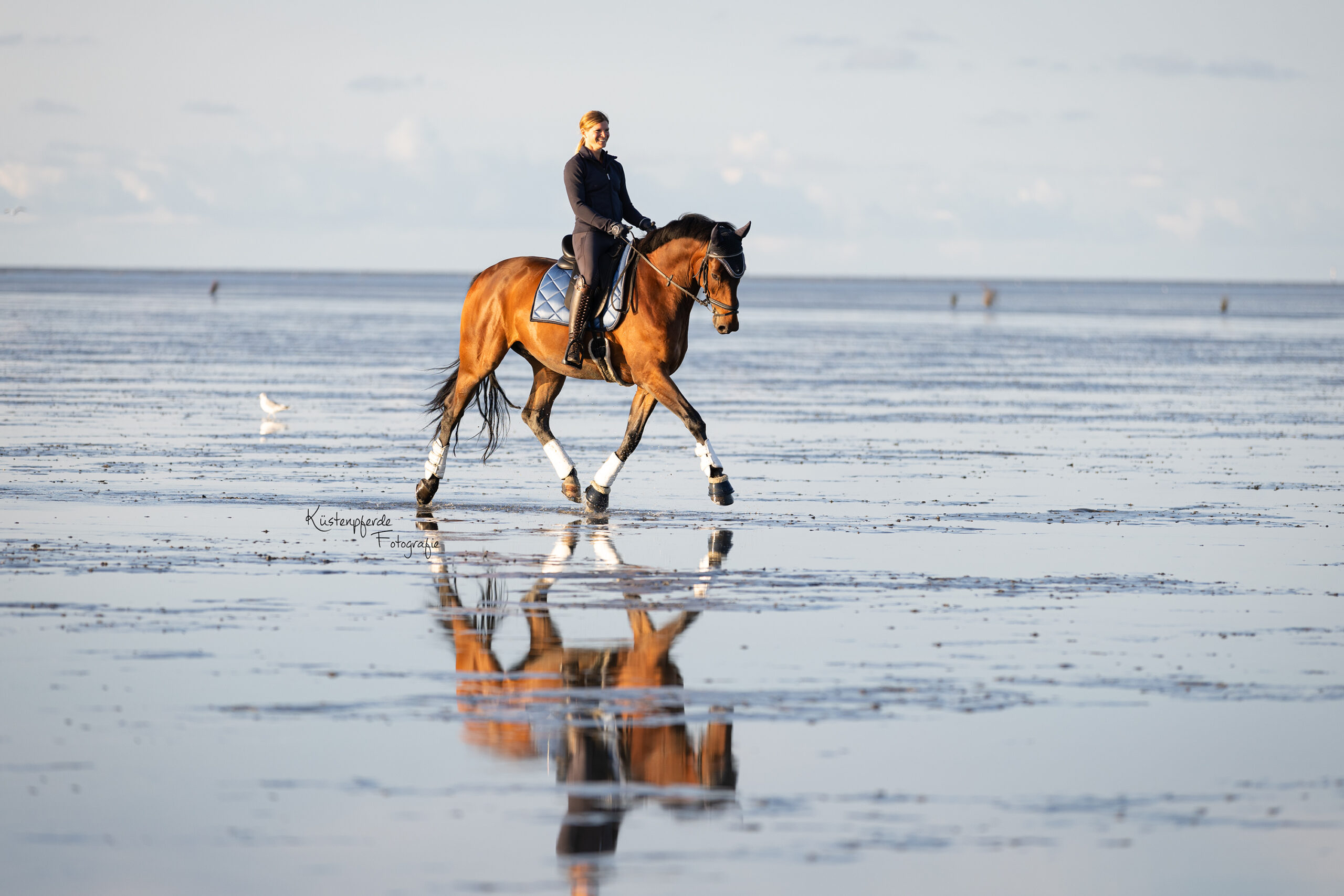 Pferdefotografie Cuxhaven Nordsee Bremerhaven Küstenpferde Fotografie Emotionale Pferdefotografie Bremen Niedersachsen Cuxland Geestland Pferde Watt Wattshooting Strandshooting North Sea Equineshooting