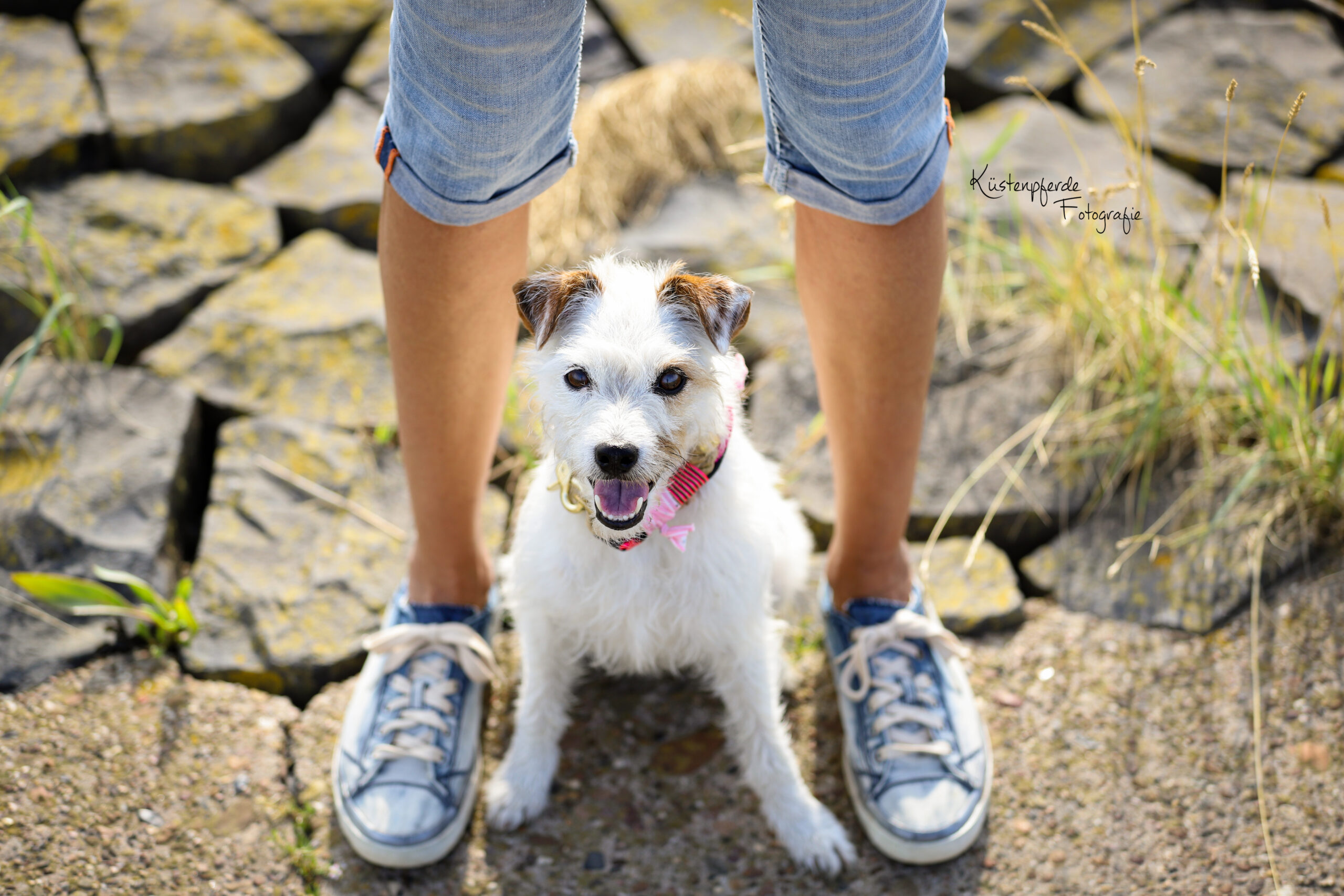 Hundefotografie Hundeliebe Hundefotos Bilder Hund Nordsee emotionale Tierfotografie Bremerhaven Cuxhaven Geestland Hunde Liebe auf vier Pfoten Hundefotos Cuxland Niedersachsen Mensch Hund Fotografie Hafen