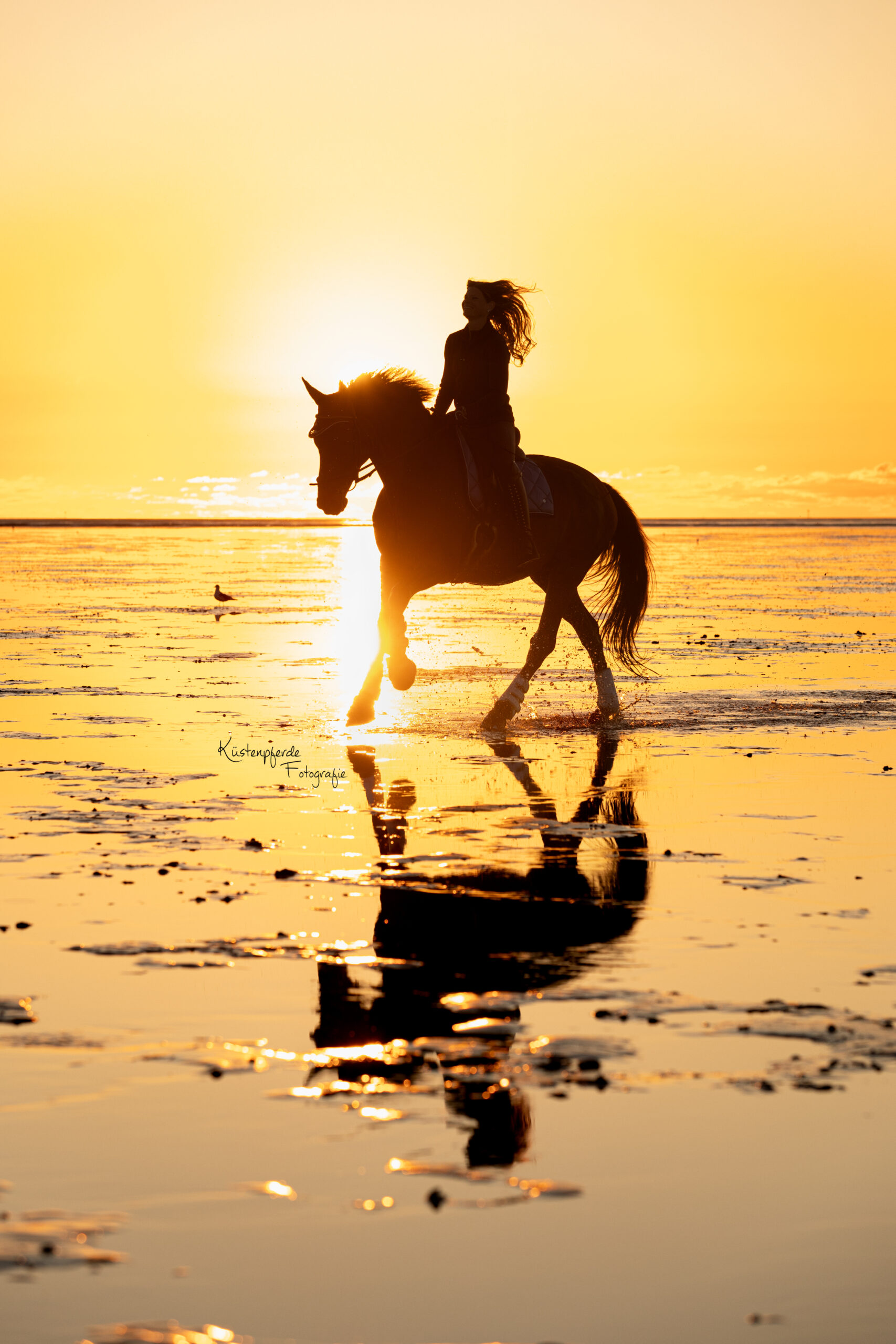 Pferdefotografie Cuxhaven Nordsee Bremerhaven Küstenpferde Fotografie Emotionale Pferdefotografie Bremen Niedersachsen Cuxland Geestland Pferde Watt Wattshooting Strandshooting North Sea Equineshooting