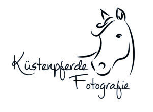 Küstenpferde Fotografie